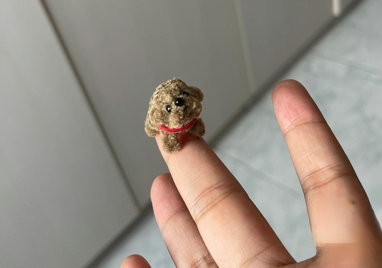 指尖萌宠，独一无二，省粮食，只需一节小电池，你会养吗？


随手拍张照 萌宠饲养