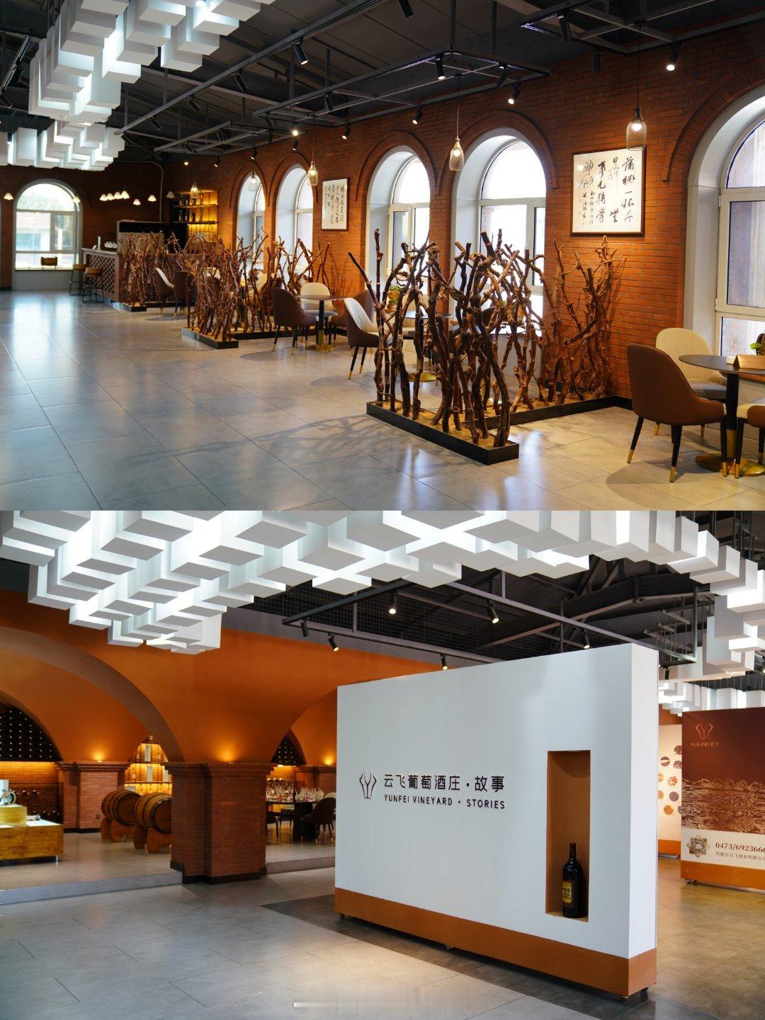 #二十四节气旅游美食##乌海市旅游发展大会# 🍇【探秘乌海云飞酒庄，北纬39°