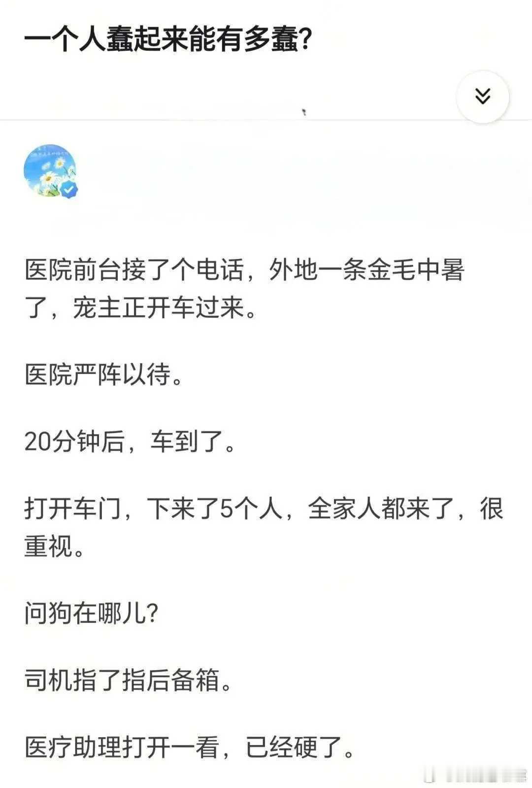 金毛上辈子造了什么孽啊？[允悲][允悲][允悲] ​​​