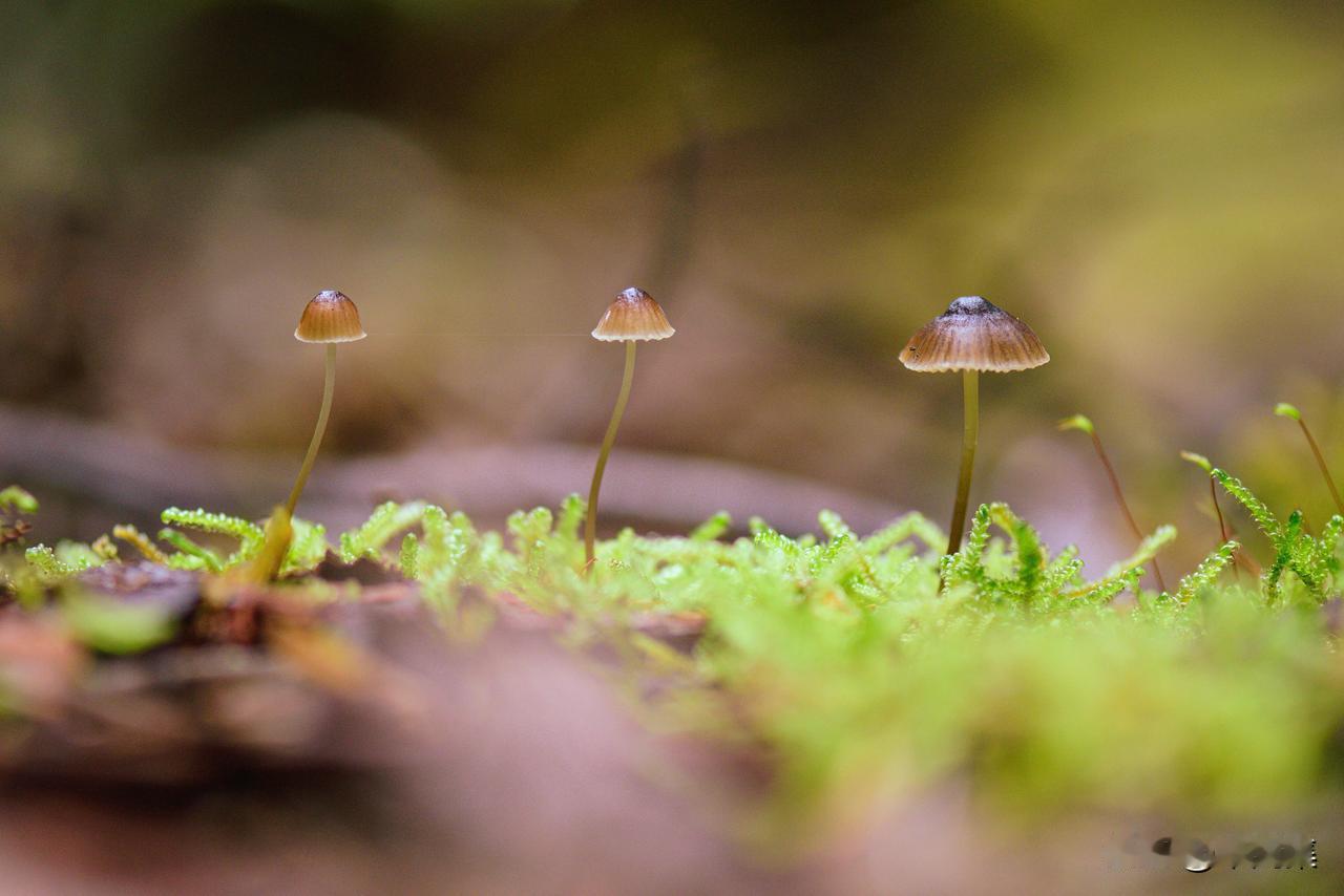 天冷了，这些保暖小妙招，其实是健康陷阱！
25日至27日，全国大部地区又要迎来4