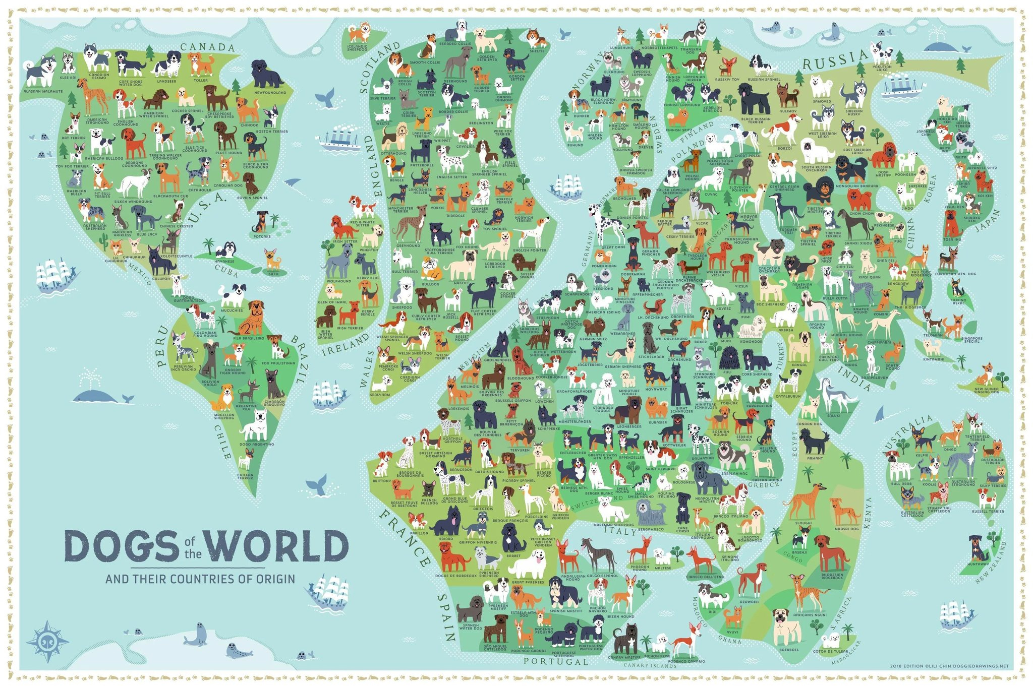狗狗世界地图 ​​​