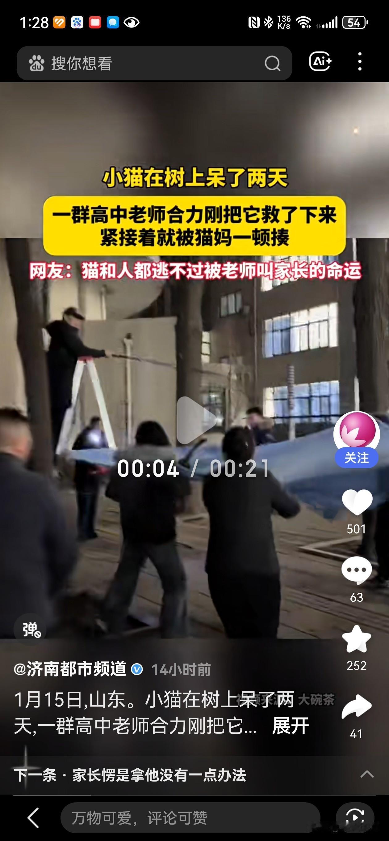 1月15日，山东一小猫在树上呆了两天，一群高中老师合力把它救了下来，紧接着就被猫