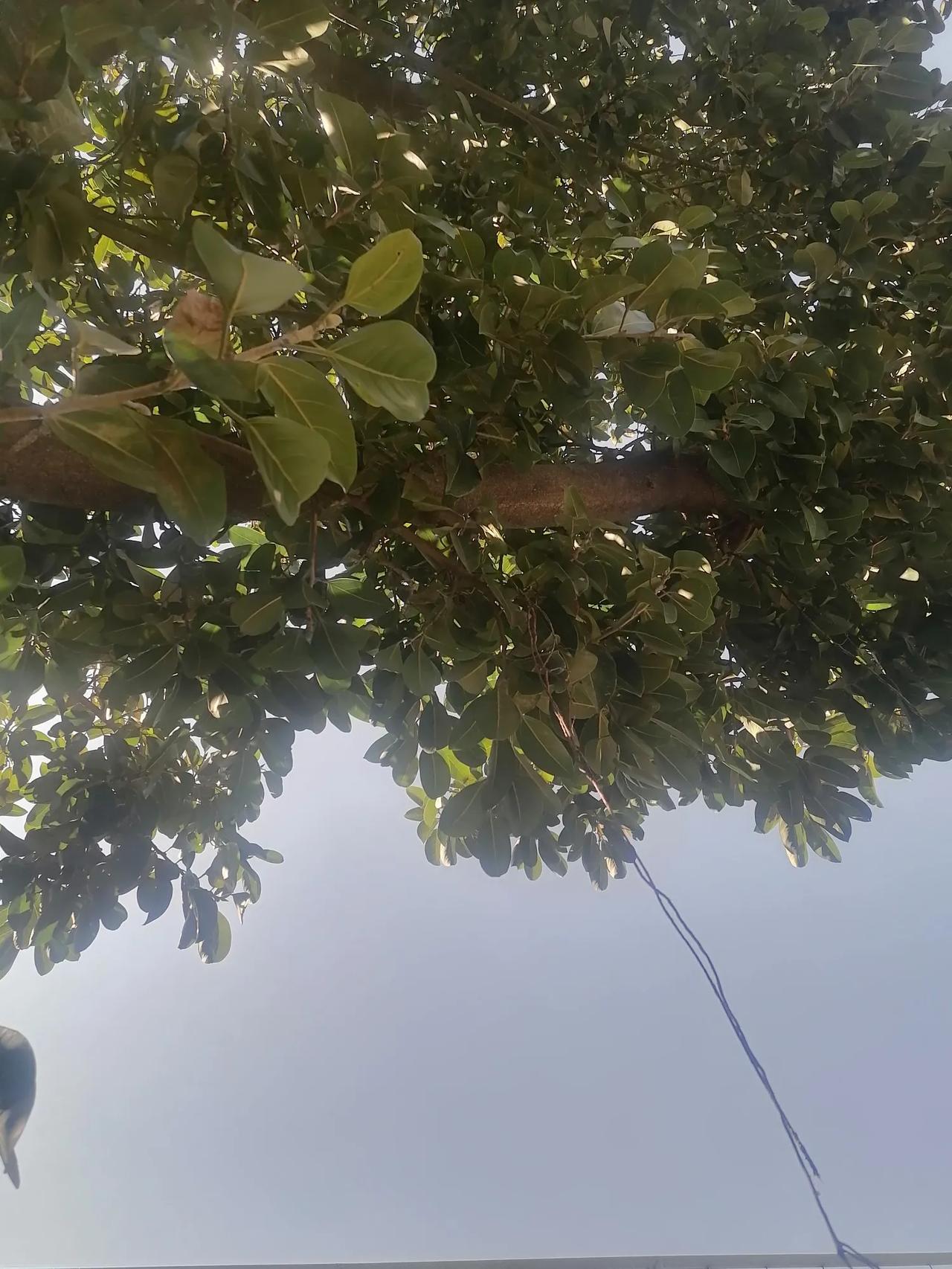 人生难得，一定要把自己改造的越来越好，完美无瑕！
修自己修！把自己修行的越来越好