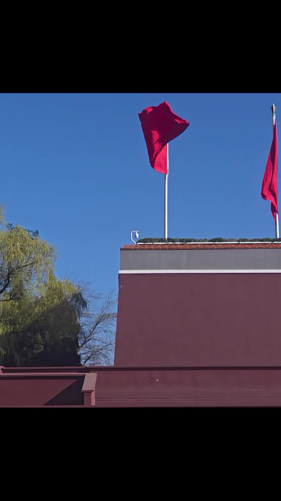 欲与天公试比高