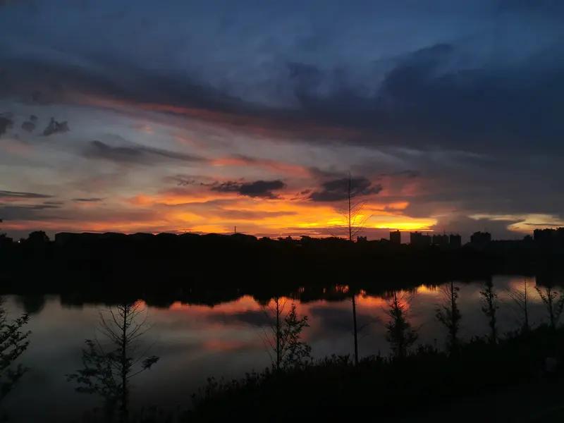 岁月百态，各有各的滋味。有人的岁月是“在荆棘与泥泞中摸爬滚打，满身伤痕却仍怀揣希