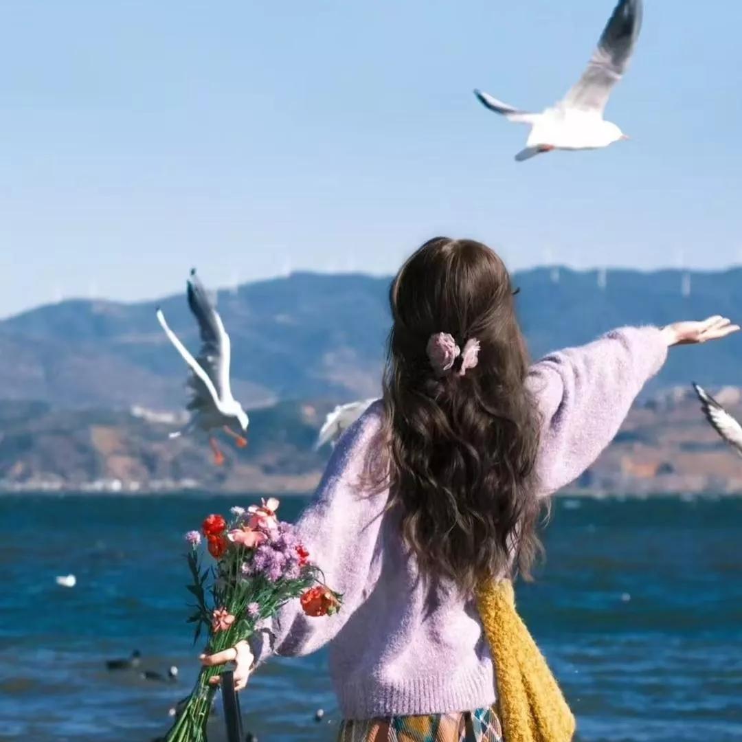 海边女孩撒花瓣喂海鸥，梦幻瞬间翩翩起舞海鸥 海鸥写真 昆明湖畔喂海鸥 女孩与海鸥