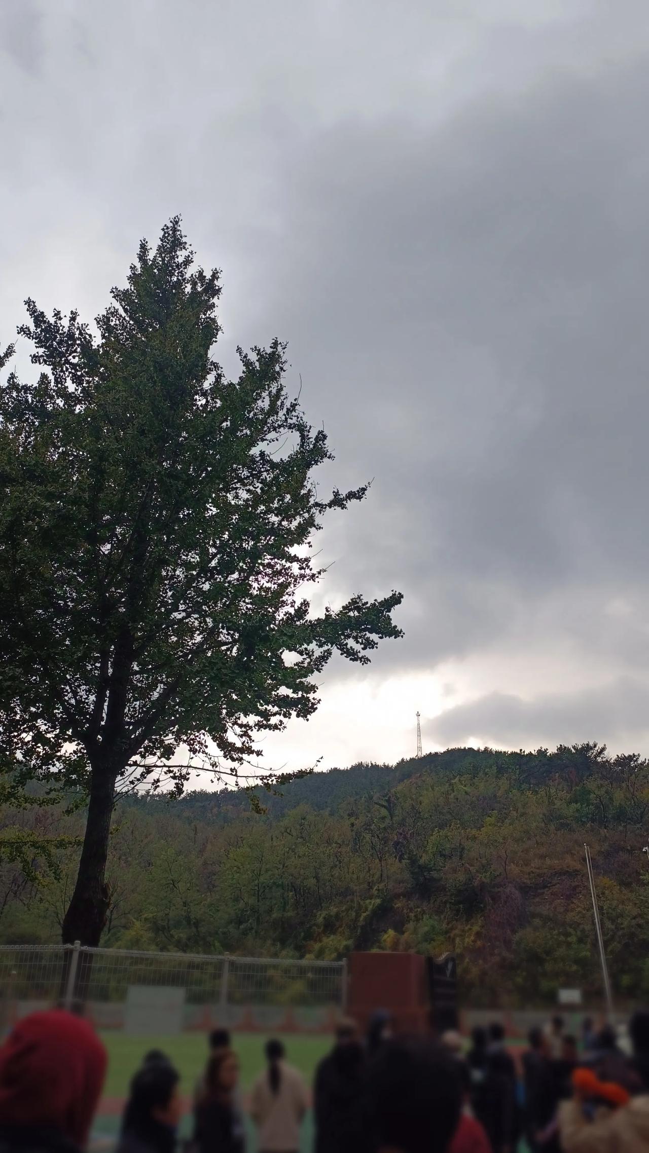 #五年级# 10月22日 周二🧮总结：学校作业50分钟；提前写作业12分钟；家