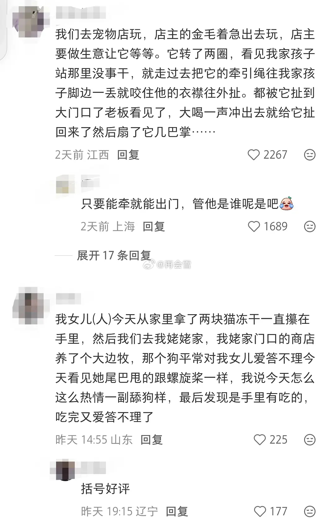 边牧挨的两巴掌真是不冤 