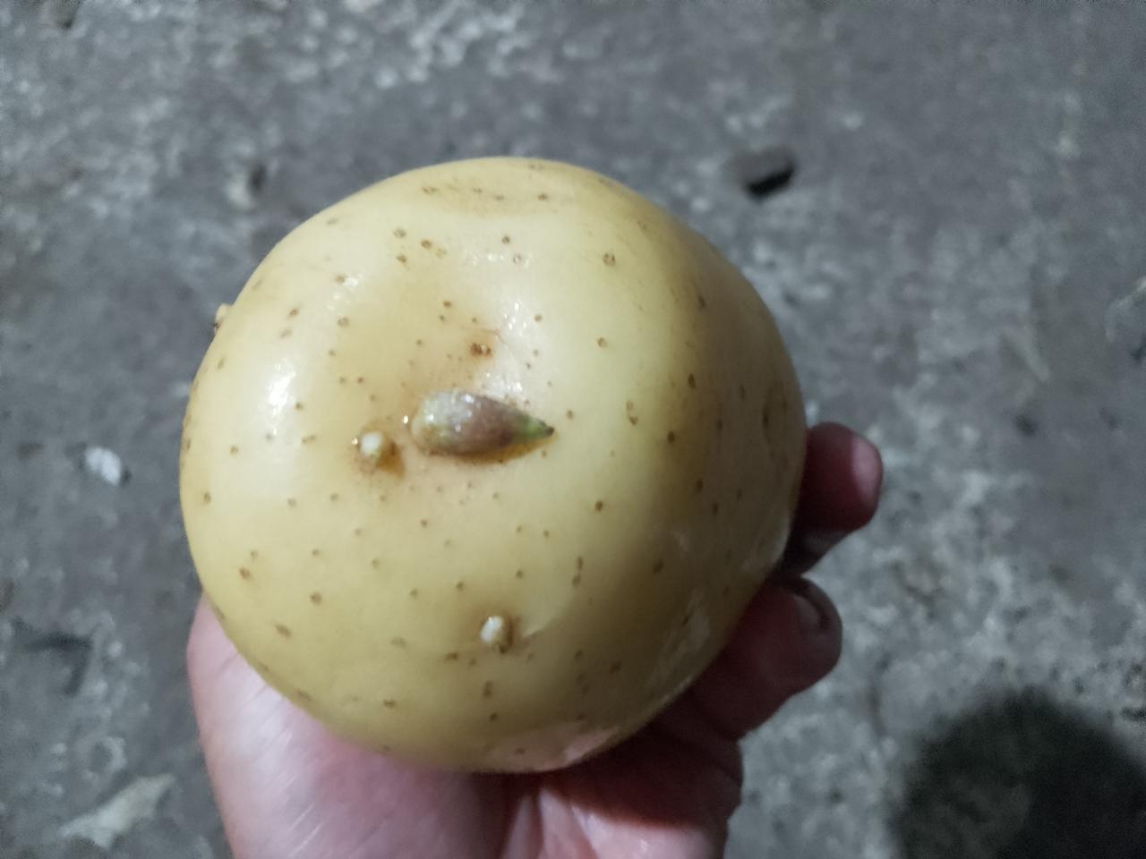 意味着失败。回不了娘家，婆家也靠不住，除非是独生女。可即便身为独生女，也可能遭父