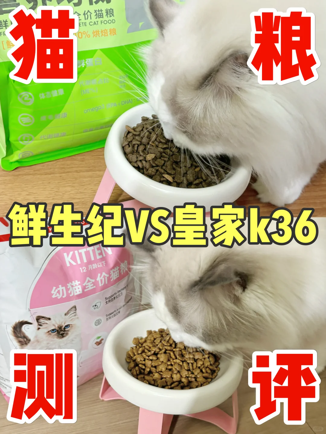 双十一不知道买什么猫粮的看过来