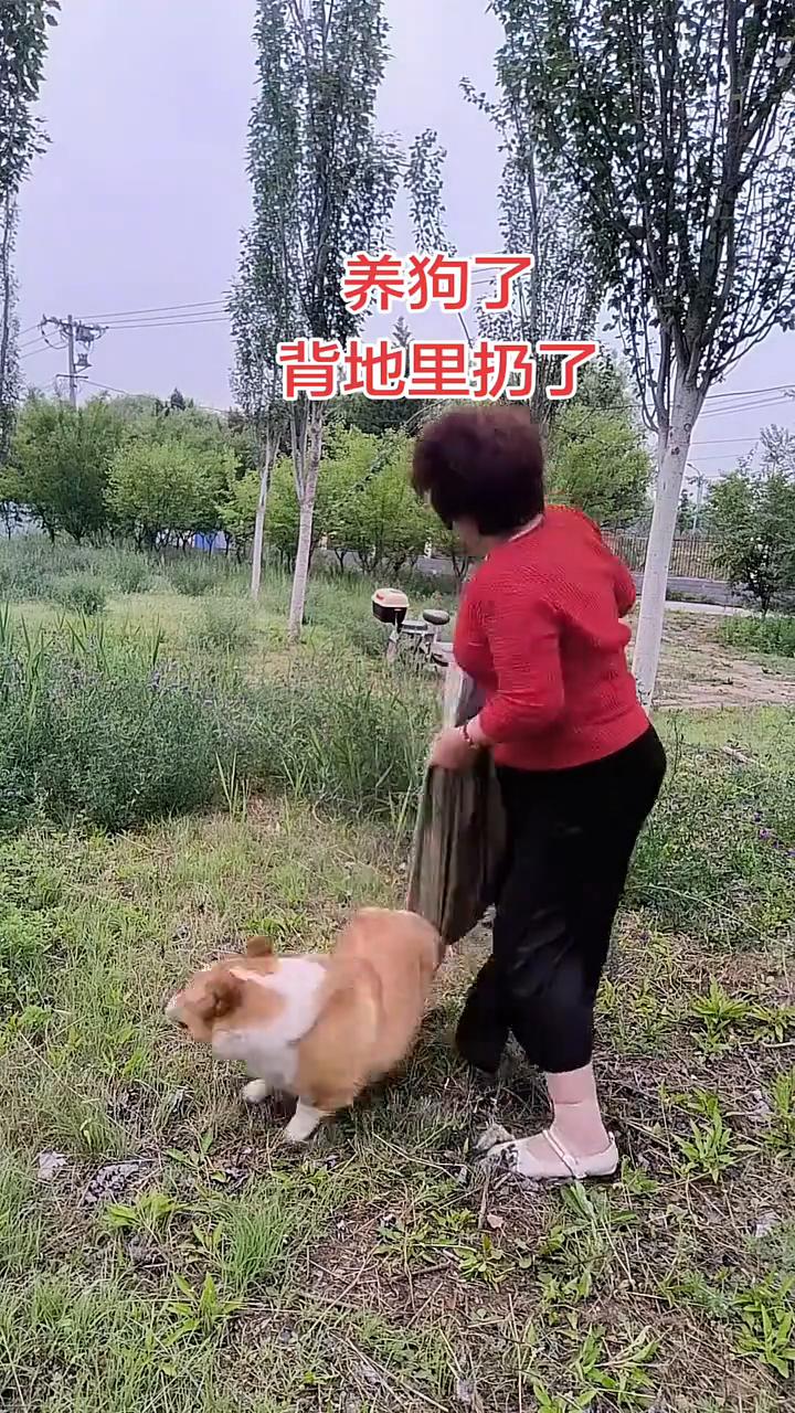 养狗了，背地里扔了。