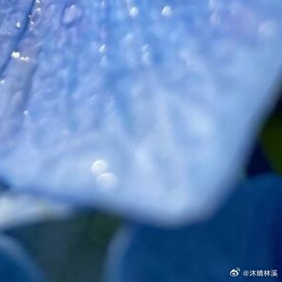 -大大方方去丢脸，兴致勃勃去失败，再昂首挺胸重新开始。只要不放弃，四面八方都是前