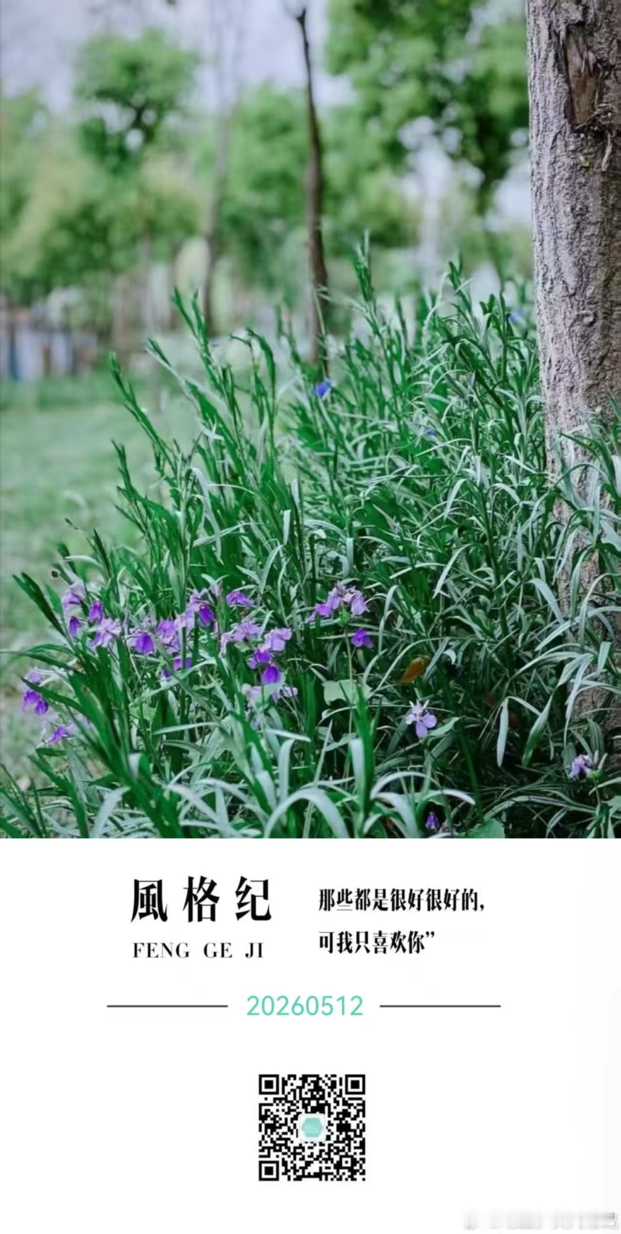 吃土少女晚安 致敬重生 