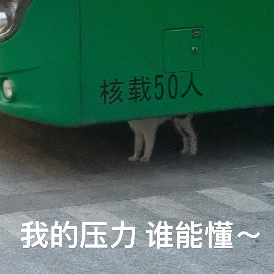 三，水雷屯春木更新，步步为营注意肠胃，生殖泌尿，肾脏宜：动土 修造 装修 拆卸 