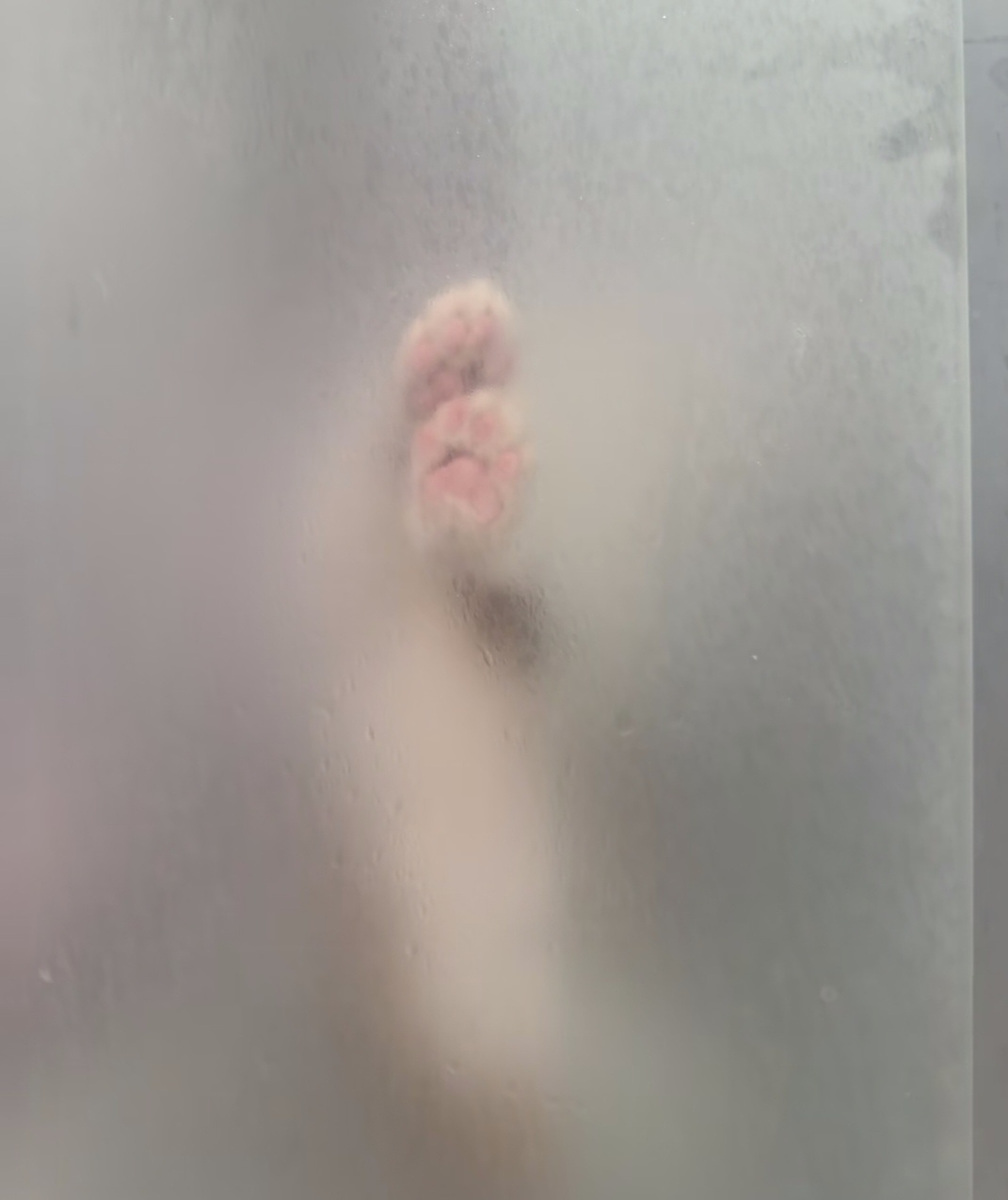 洗澡中，厕所搭子展开了积极的救援行动 