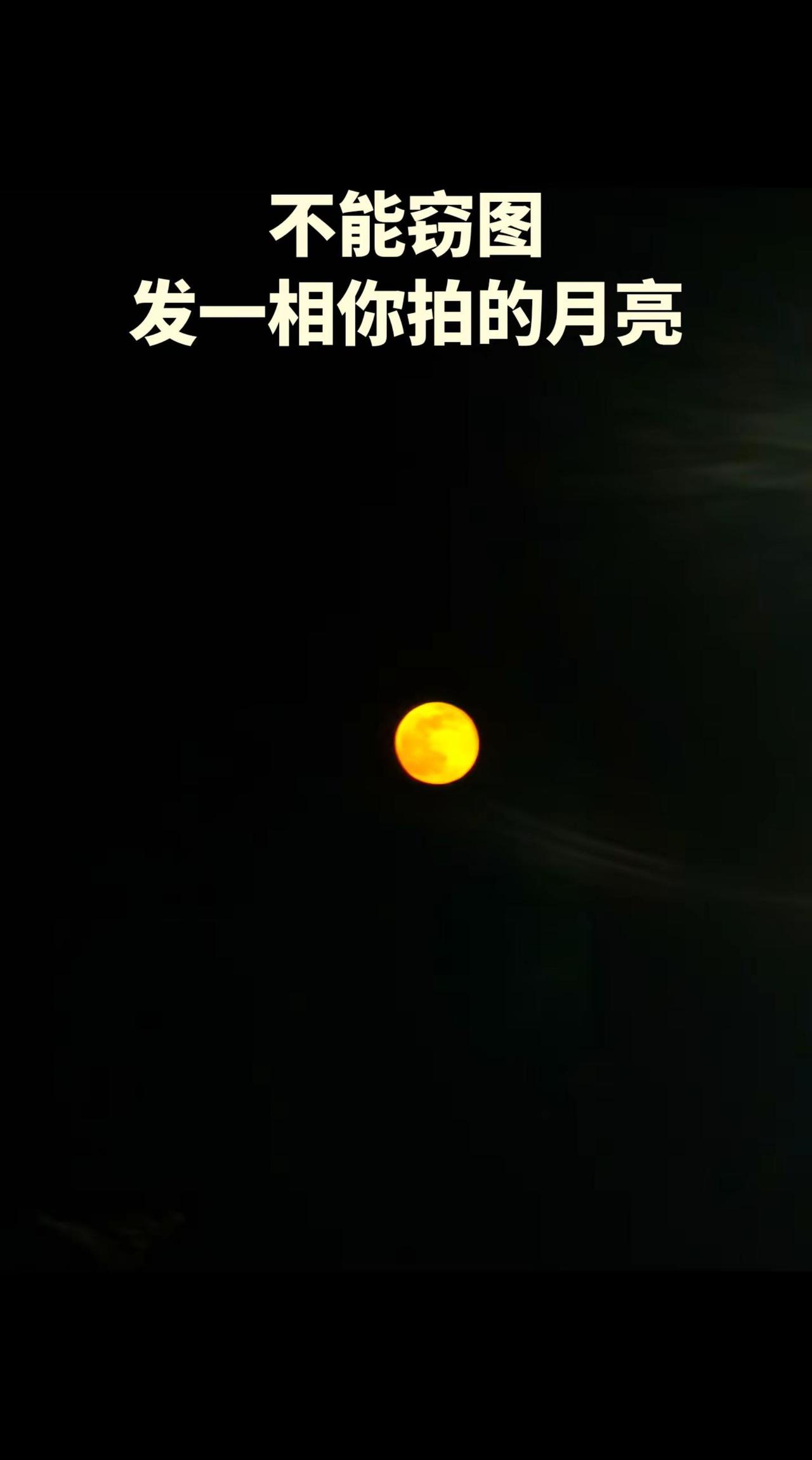 这段时间都被这调调洗脑了