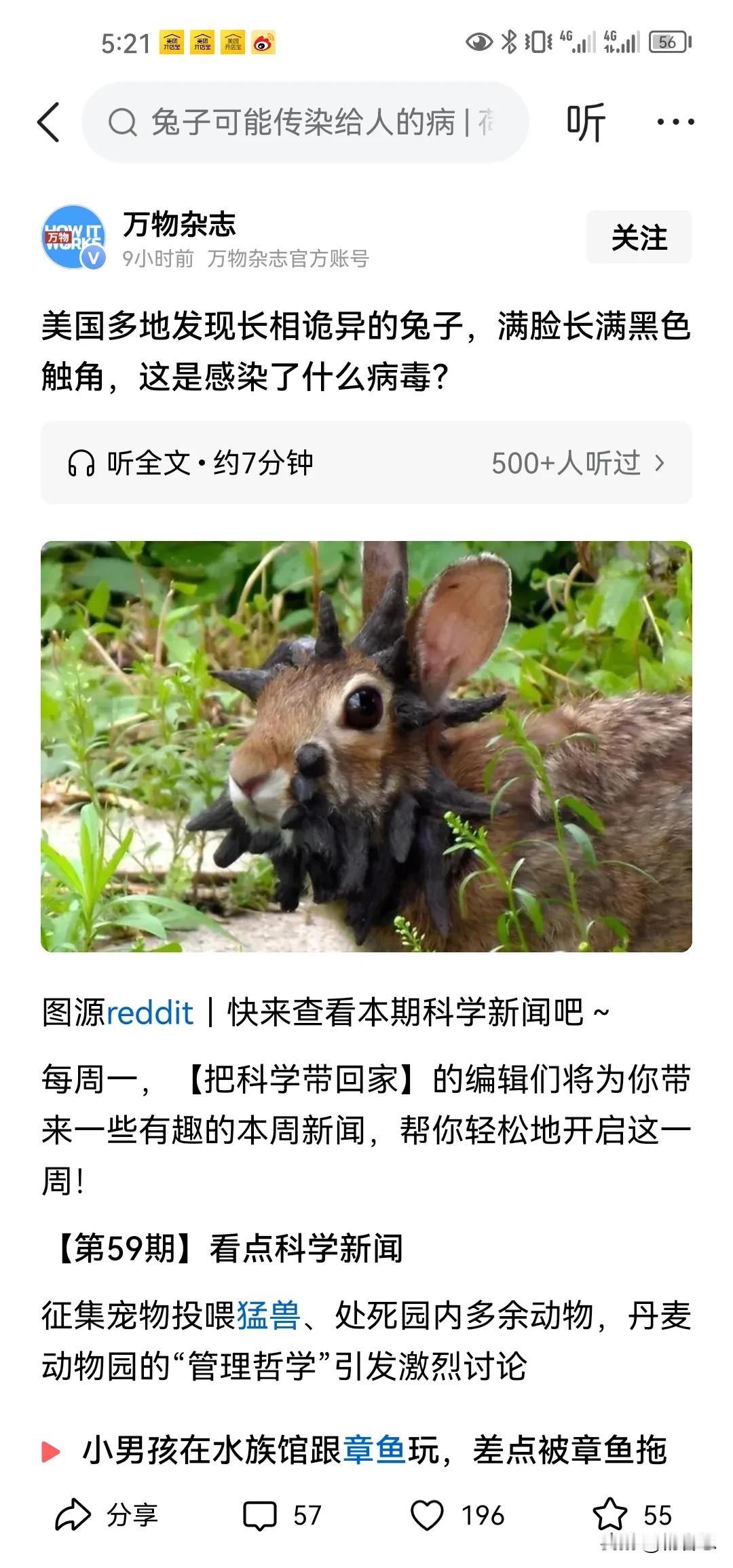 你看从美国发现这种奇形怪状的兔子，一看就是什么病毒，美国才是天下病毒汇聚之地啊，