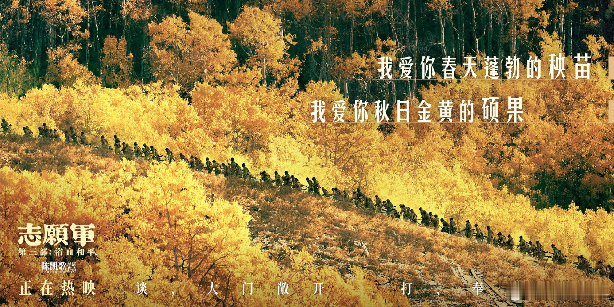志愿军空着19号座位的含义 19号C位空着的瞬间，让人忍不住红了眼，它代表197