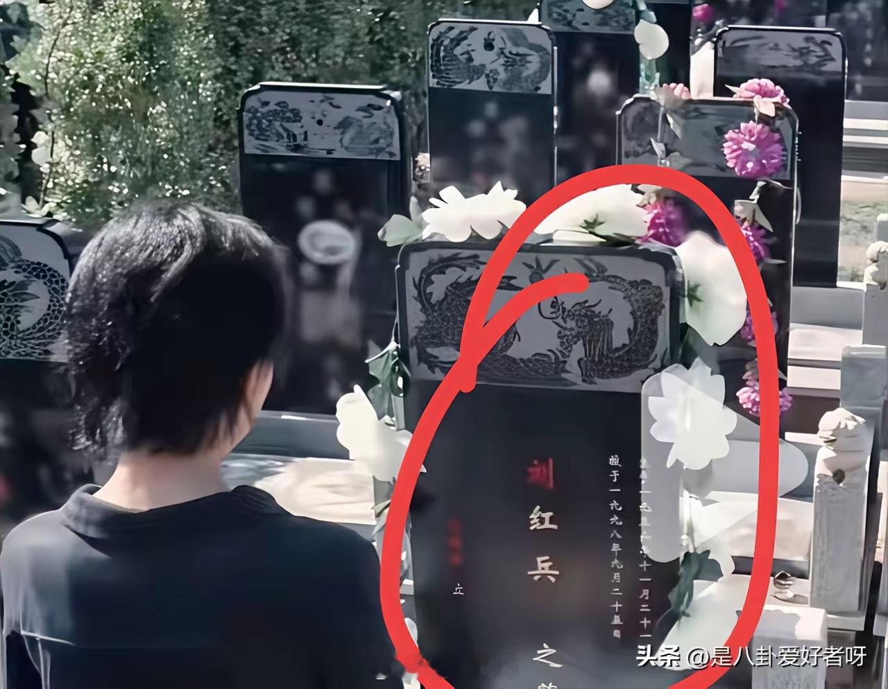 “刘红兵”的墓碑越看越不对劲别的墓碑写的都是“爱子”“慈父”，到了“刘红兵”这里
