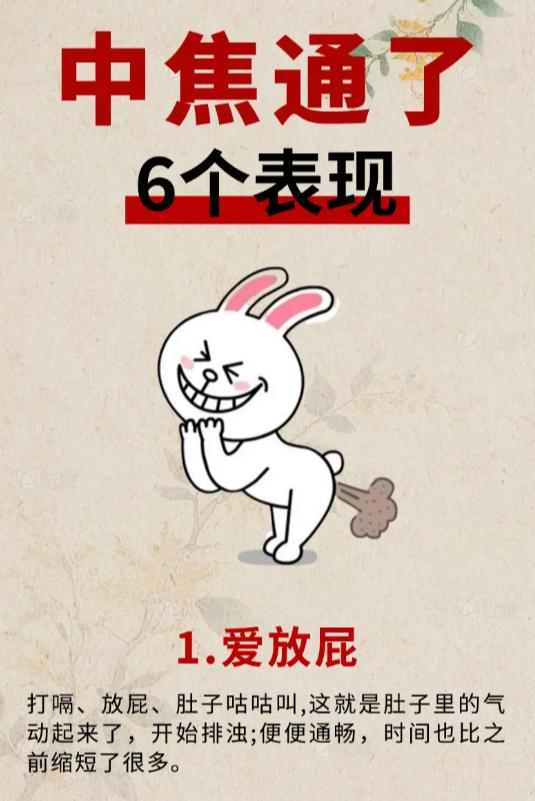 中焦打通后，身体会出现这 6 个好变化