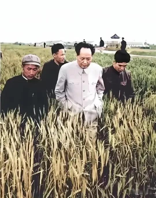 一心为民的毛主席，终身践行服务人民！
