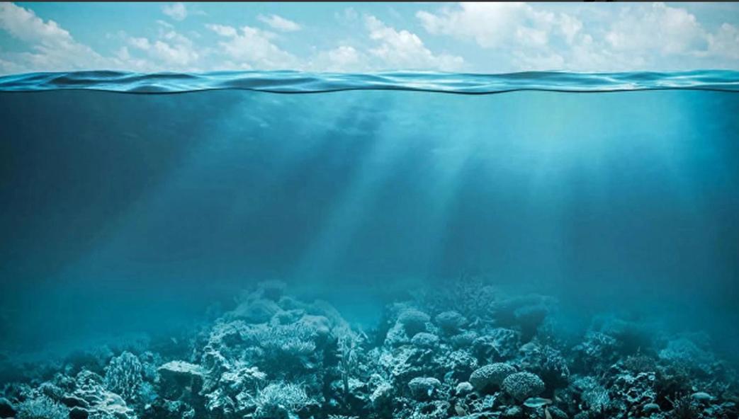 日本态度已明，不会指望中国，日本国内有动作了！1 月 12 日，根据日经新闻报道