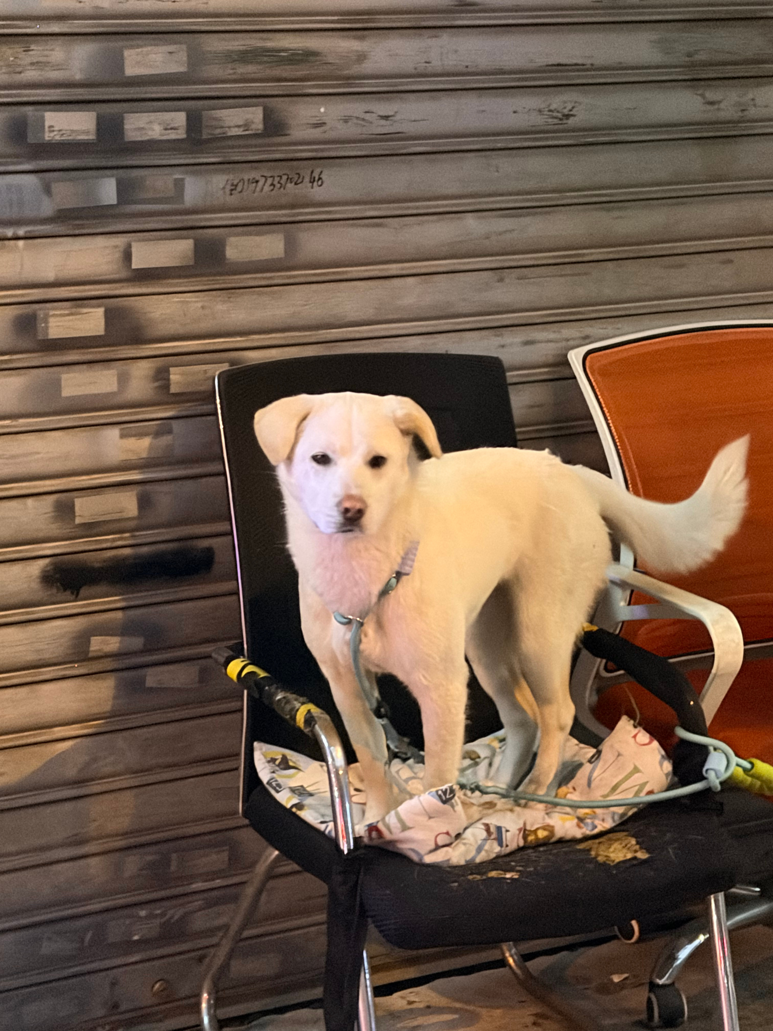 看了下四月的行程…感觉这是个好玩的四月了就是不知道有没有时间健身了🏋️这几天猛