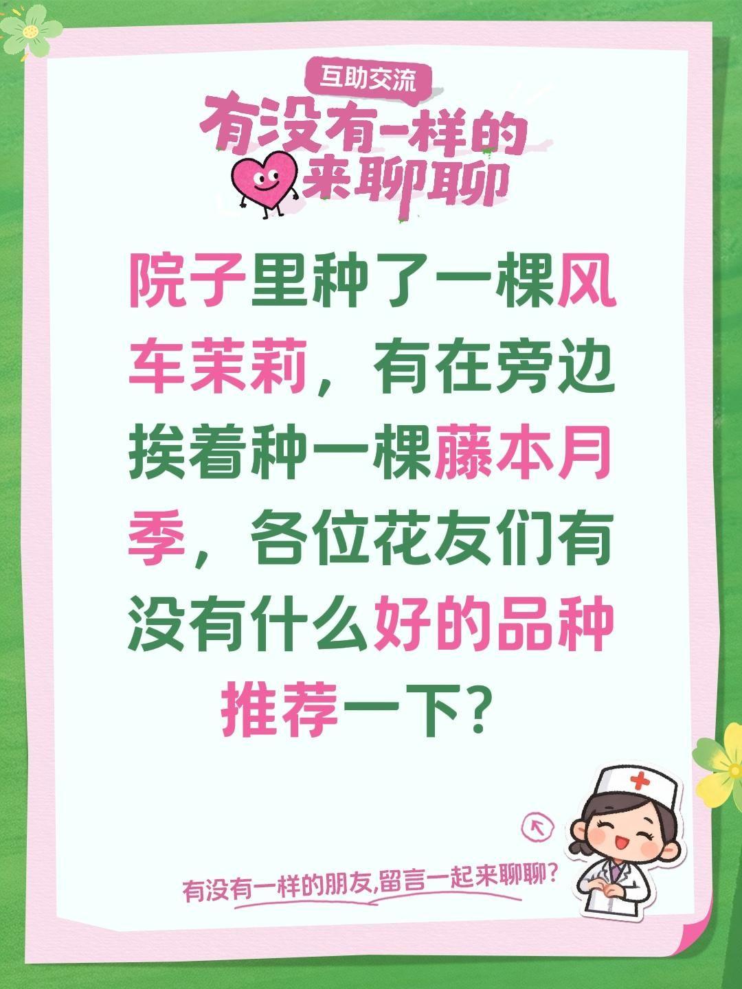 院子里种了一棵风车茉莉，有在旁边挨着种一棵藤本月季，各位花友们有没有什么好的品种