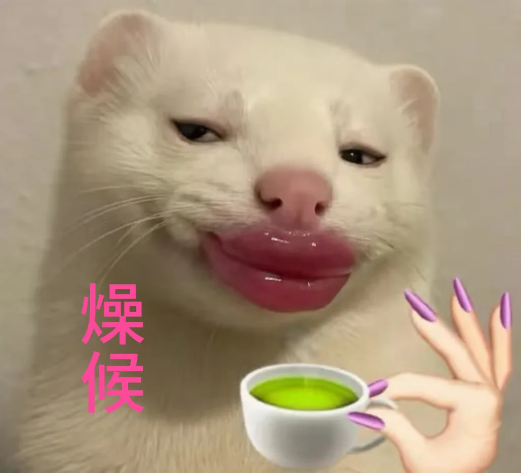 文石T10C+我今天必拿下