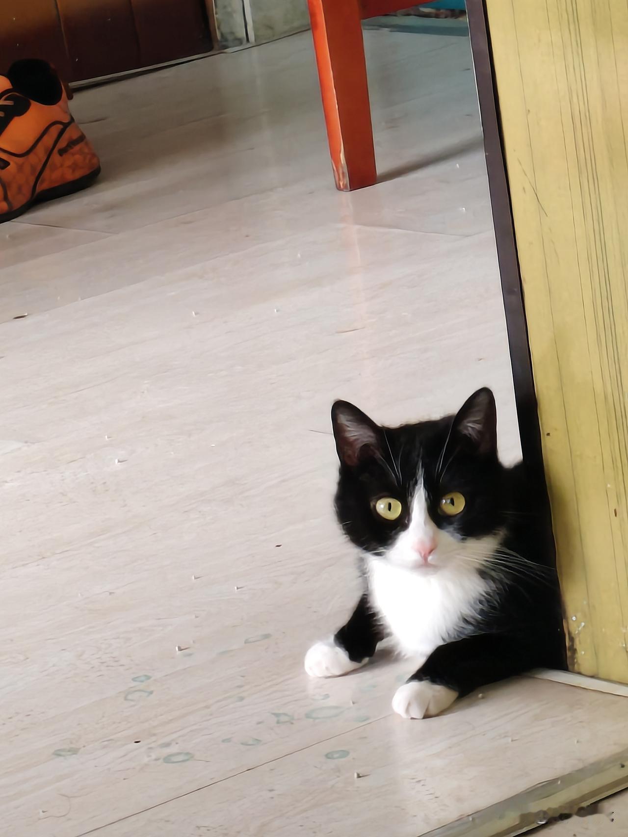 人到中年，别再总想着让别人高兴，玩命取悦自己才是正事
 
人到中年，终于活明白一