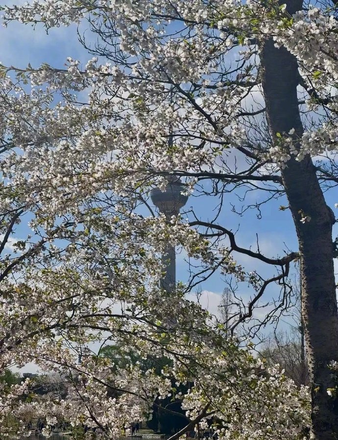 𓂃🧺𓏽生活无解 在户外撒野 ​​​