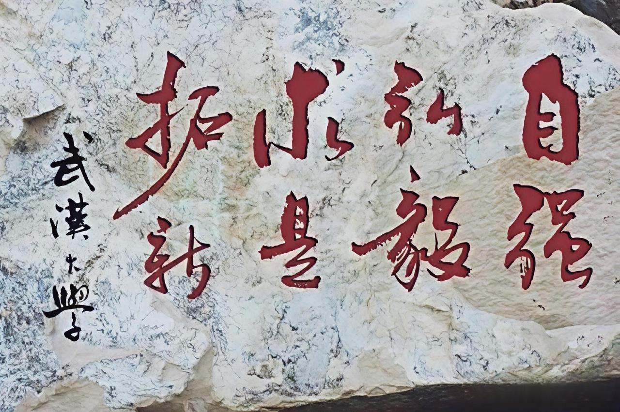 武汉大学的校训是：自强、弘毅、求是、拓新！
整体含义是继承和发扬中华民族自强不息