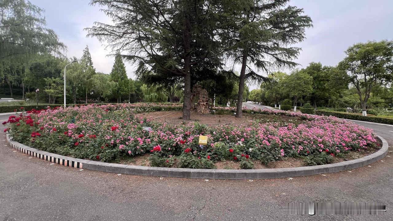 你信不？孩子胆小，不是天生的标签，而是成长中的一道门——门没打开时，我们需要帮他