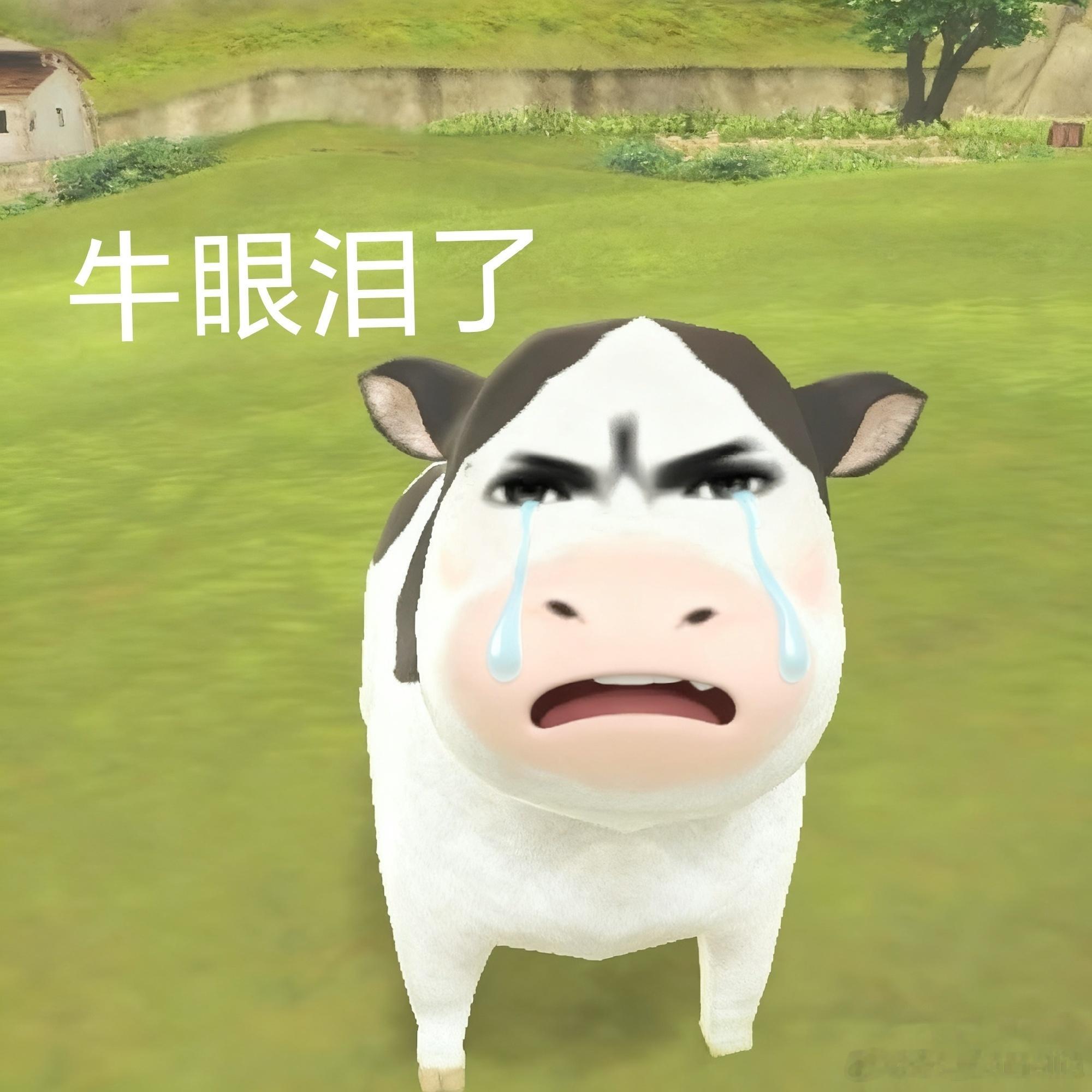 我服了 我之前把和防御有关的芯核全扔了