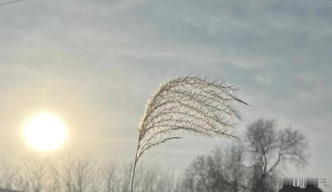 如何拍风景