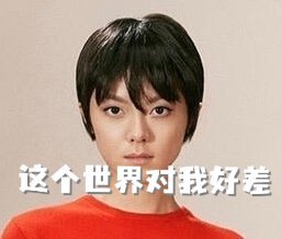 分享图片 
