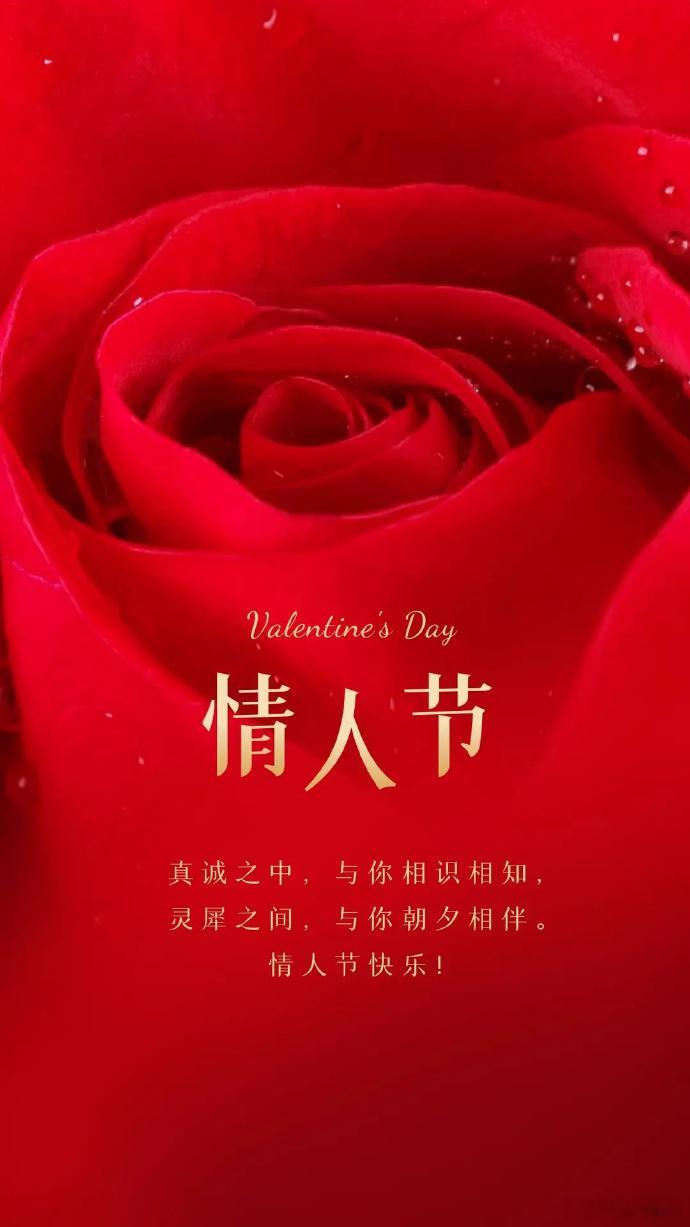 不要谈套路式恋爱  恋爱中，套路是感情的绊脚石，真诚是通往幸福的桥梁。以心换心，