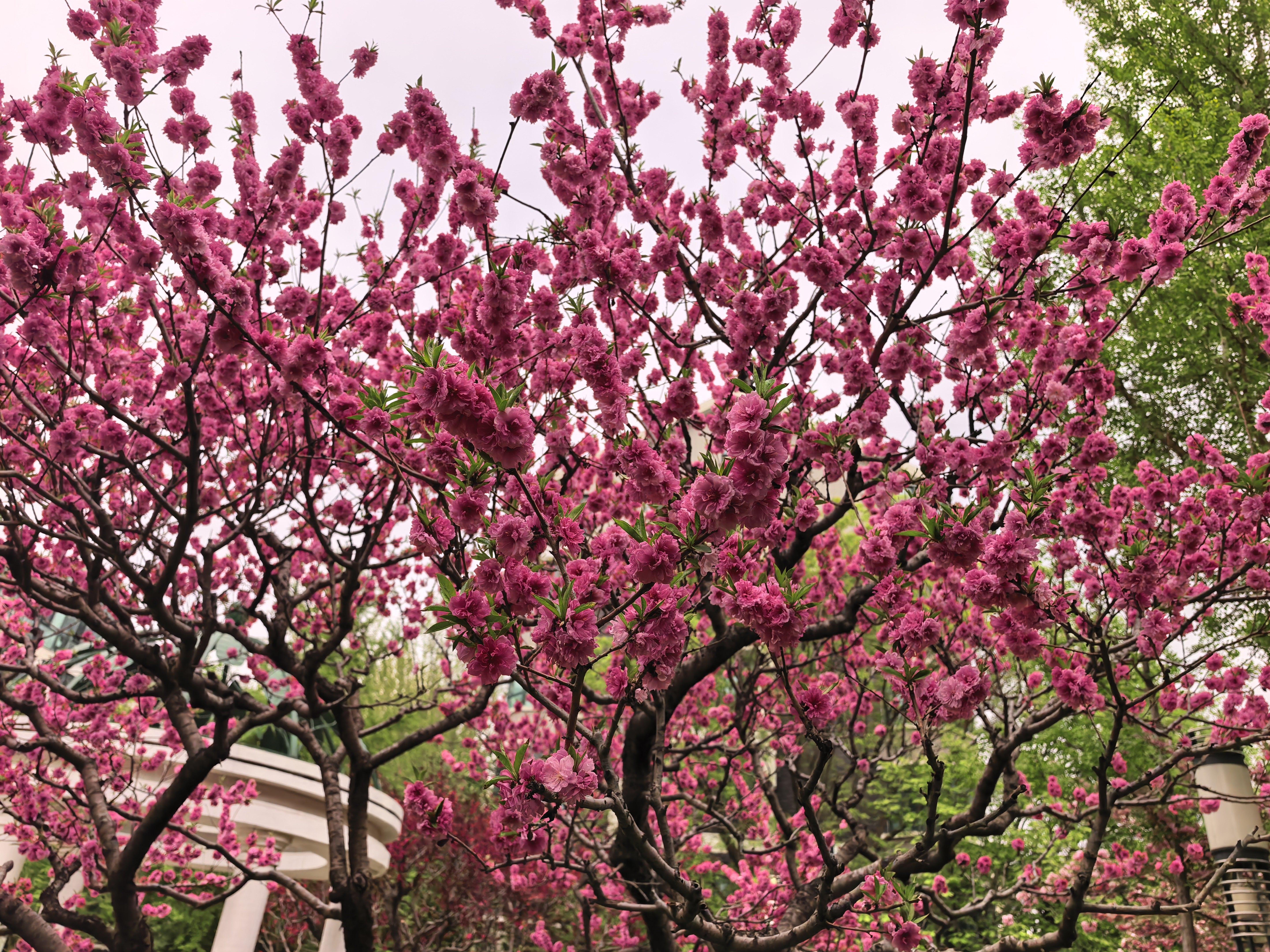 来点养眼的，希望明天股市继续大红。财经财经