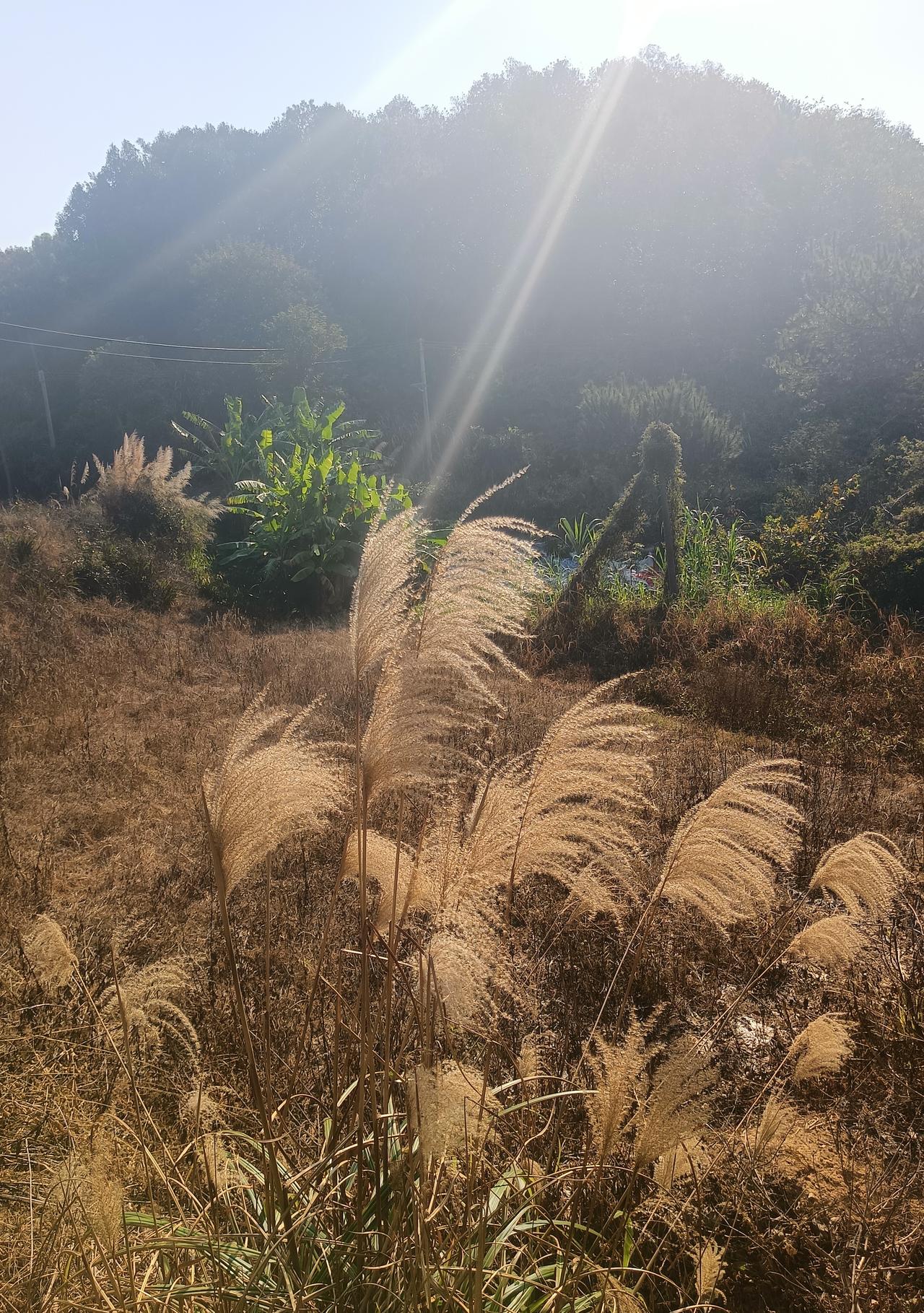 分享一张随手拍