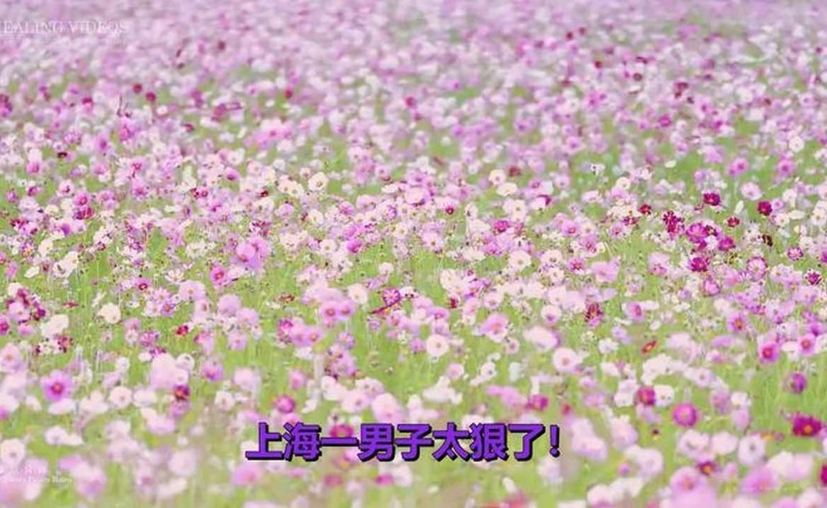 上海一男子太狠了！发现自己孩子非亲生后，居然12年不揭穿