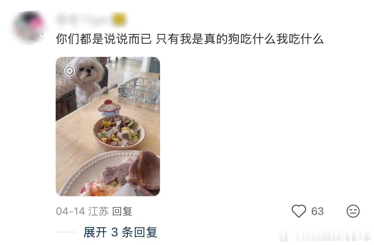 发现把自己当狗养会养得很健康 （