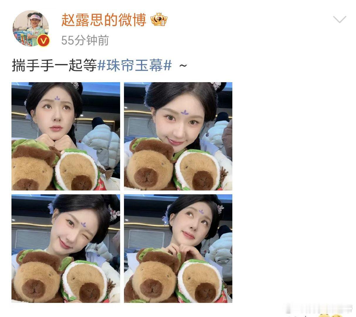 #赵露思在等珠帘玉幕开播##和赵露思一起等珠帘玉幕开播# 赵露思在等珠帘玉幕开播