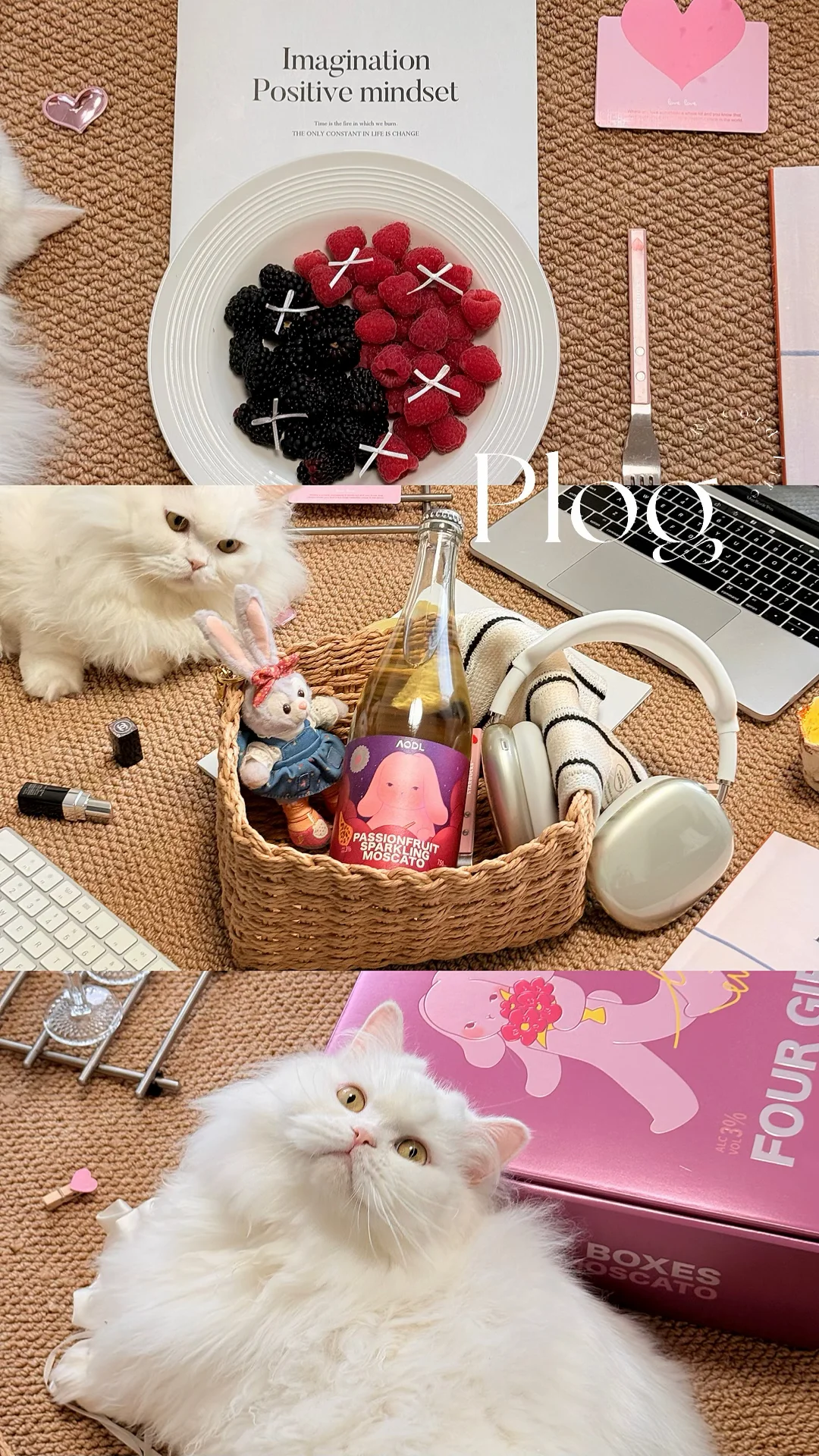 My life|微醺夜🌙百香果酒➕莓果+猫🥂🐱