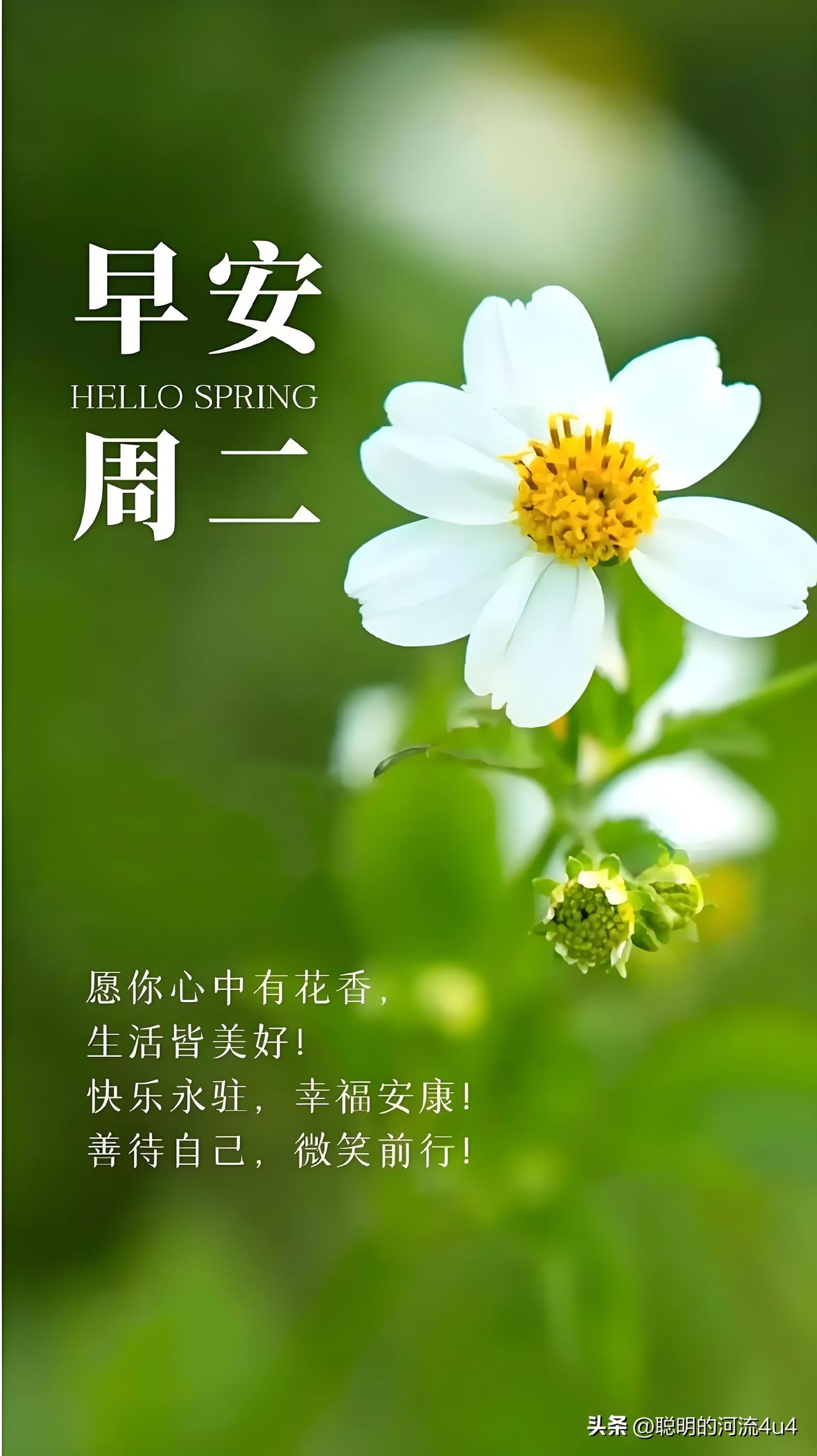 🍃꧂🌞早上好💕᭄🌿☕️
     ☀️𝒢𝑜𝑜𝒹 𝓂𝑜𝓇𝓃