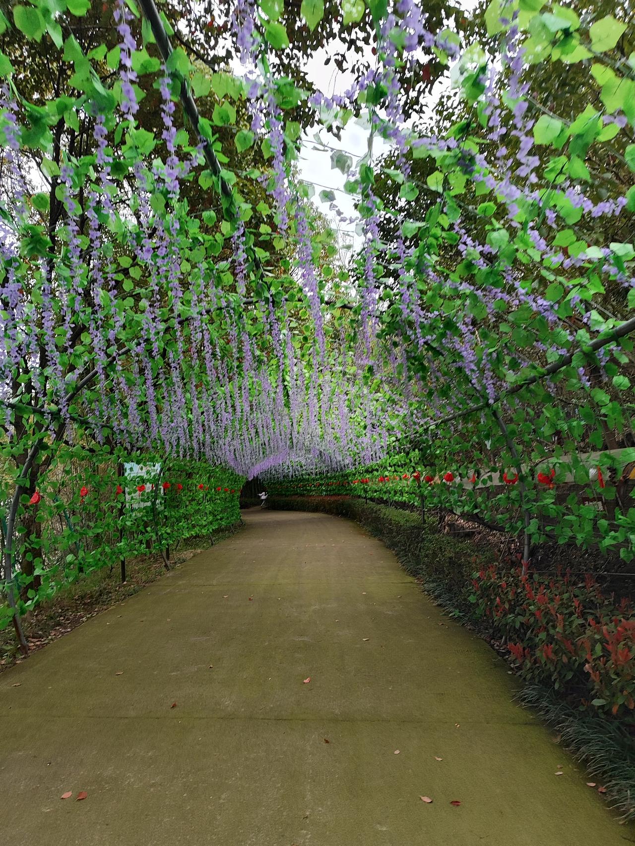 什么是，真正的“家”真正的家，从不是一座冰冷的房子，而是无论走多远，都能卸下所有