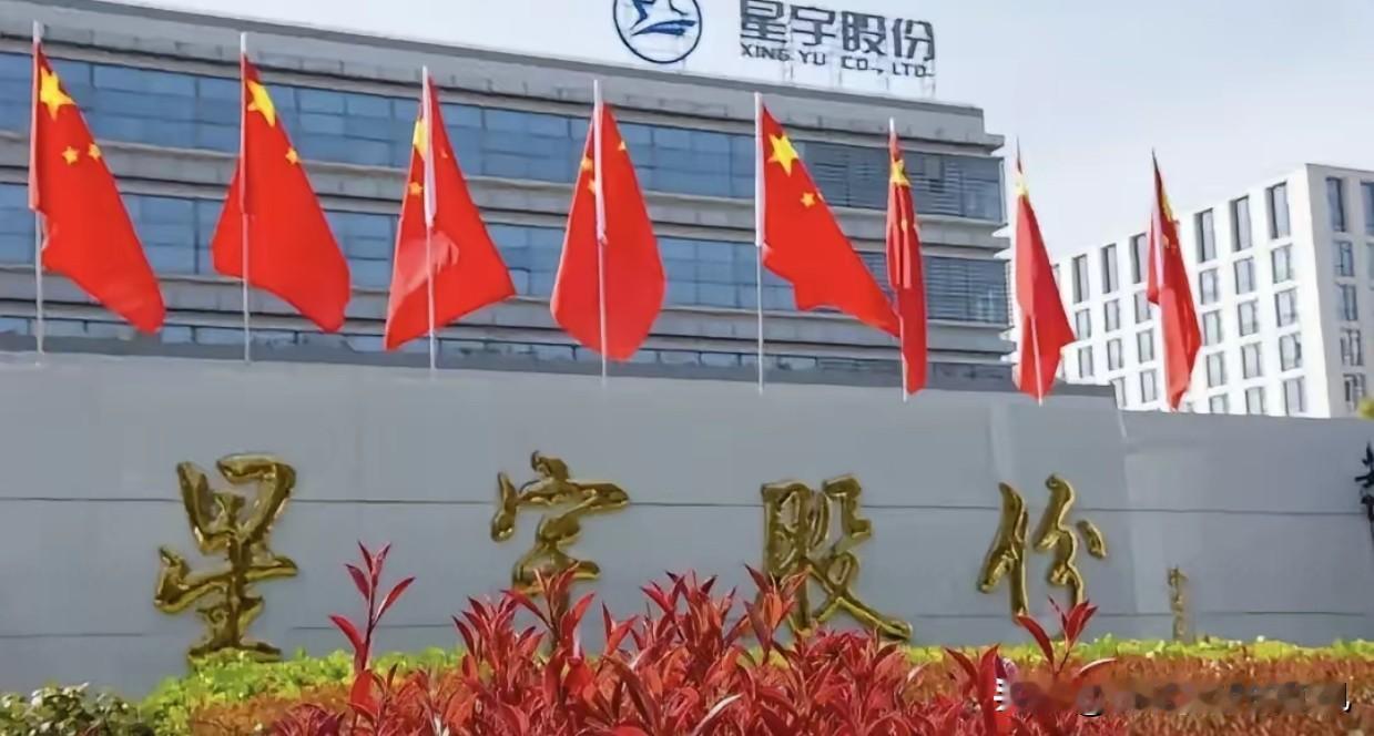 终于明白全网为什么死磕星宇股份了！网友根本不是揪着说赔偿3个月还是6个月的补贴，