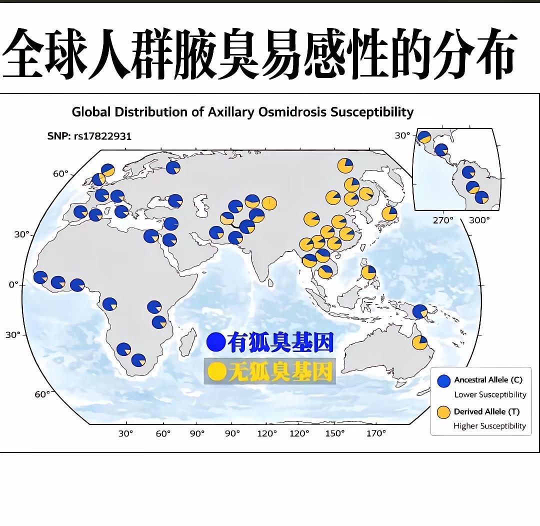 好家伙，其他地方的人狐臭比例这么高吗[捂脸]