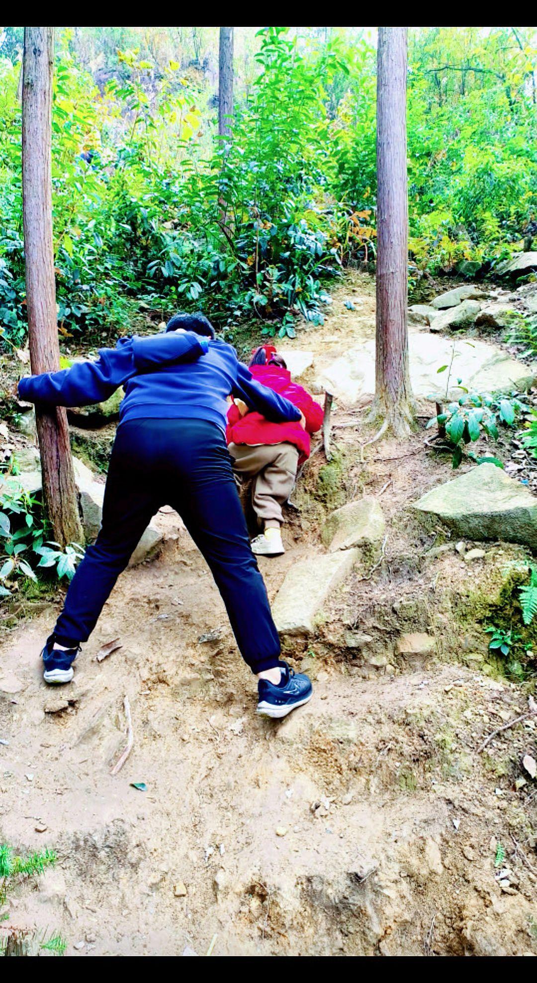 《山林徒步有感，陪伴孩子亲近自然》
 
今日带着小朋友进山徒步，山间土路铺满泥土