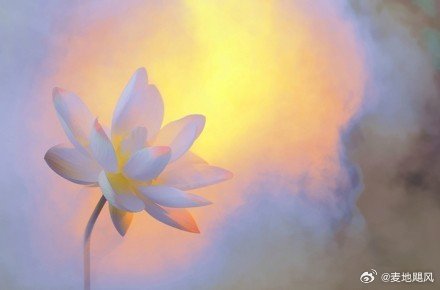 想见你可以有一万个理由 见到你 却发现缺少了一个见你的身份。 