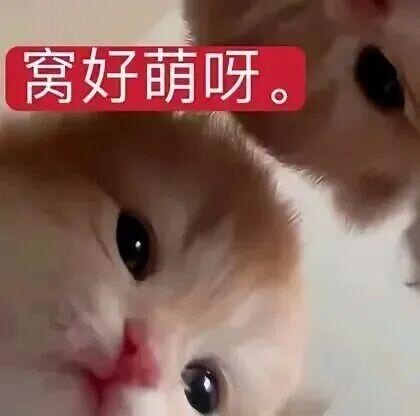 呵呵还是没忍住收了个码，月饼叽明天你跟我回家[许愿星] ​​​